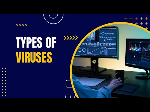 Virus Exposed: Exploring Different Categories in Cybersecurity