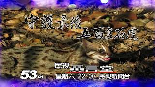 【民視異言堂 預告】守護最後500隻石虎 2019.07.20
