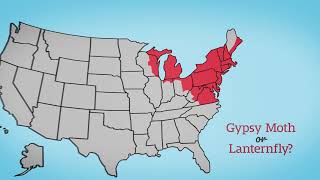 Arpin Van Lines - Current Customer Resources