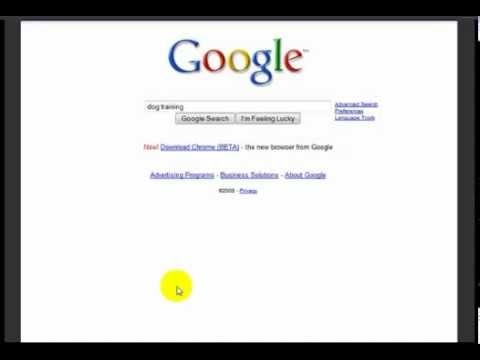 InternetMarketingNewbies.mp4 Comes With MasterResellRights
