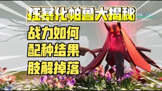 [幻兽帕鲁]狂暴化帕鲁大揭秘！与普通帕鲁有何不同？数值战力如何？配种会孵出什么蛋？