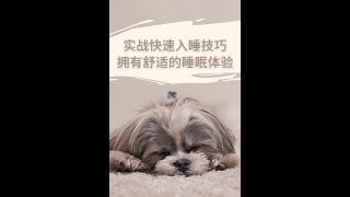 实战快速入睡技巧，拥有舒适的睡眠体验