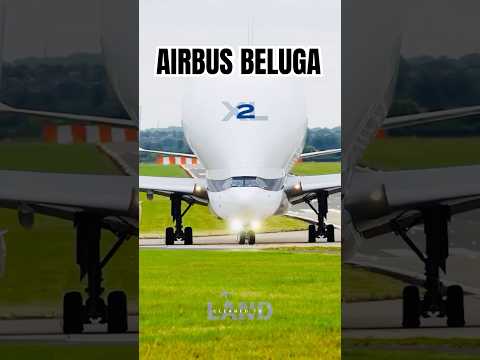 “Amazing Beluga Aircraft Takeoff – World’s Most Unique Cargo Plane!#aeroplanetakeoff#jetflix #shorts