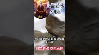 上善若水的秘密 柔韌：弱之勝強 以柔克剛 #開悟 #覺醒 #靈性成長