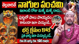 తెల్లవారితే నాగుల పంచమి.. | Nandibhatla Srihari Sharm About Significance of Nagula Panchami 2025