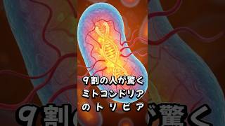 9割の人が驚くミトコンドリアのトリビア #雑学 #雑学ショート #雑学 #ミトコンドリア