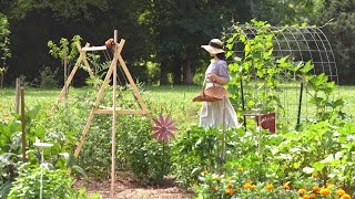 汗を流し働く夏の庭の記録🌿虹色の雲とハロ/ハイビスカスそうめん