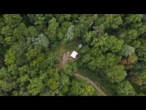 ARK3 : Episode 1 : 2:22
