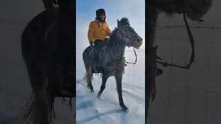 Self-driving tour of China: riding horse on the Inner Mongolia prairie, it's too cold at -30 degrees