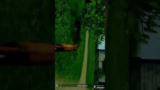 Cat Simulator #song #love #trending #roblox #catsimulator #viral #games #arsworld