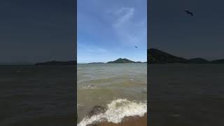 日本最大的「琵琶湖」，位在關西地區的滋賀縣。放眼望去完全看不到盡頭！好像在海邊觀賞海浪喔🌊 #びわ湖 #琵琶湖 #日本景點 #japan #日本 #滋賀県 #湖畔 #日本旅遊