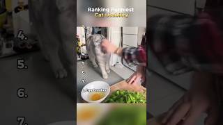 Ranking funniest Cat usability