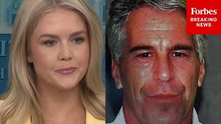 SUPERCUT: Watch All The Epstein Files Questions Karoline Leavitt Took At White House Press Briefing