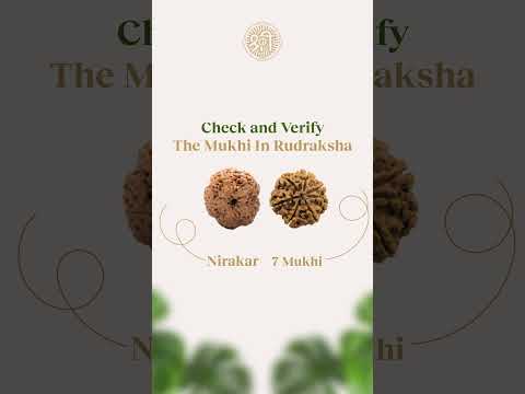 Nirakar Rudraksha Guide | Essential Tips from Nepa Rudraksha Before Buying Nirakar Rudraksha