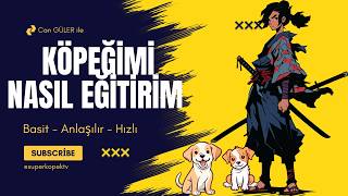 En Kolay Yoldan Köpeğimi Nasıl Eğitirim? Doğru Eğitim İçin Dikkat Edilmesi Gerekenler Neler?