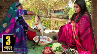 বড় মাছ ও শীতকালীন সবজি দিয়ে গ্রামীণ রান্না || Panorama Cooking