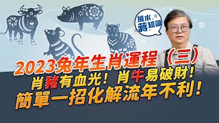 蔣匡文2023兔年生肖運程（三）！肖豬小心血光之災！肖牛易破財！肖鼠「紅鸞」駕臨易生女？肖虎勁多吉星？同場加映：簡單一招化解流年不利！｜風水蔣知識｜etnet