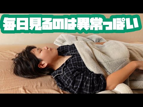 毎日夢を見る