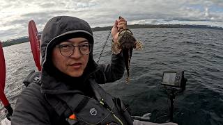北极春季自给自足3天：野菜+海参+鳕鱼做出6人海鲜大餐 3 Days of Self-Sufficiency in the Arctic: Foraging, Fishing & Feasting