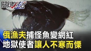 俄漁夫捕「怪魚」捕到變網紅 最奇特「地獄使者」讓人不寒而慄！ 關鍵時刻 20171205-3 馬西屏