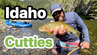 Idaho Cutties