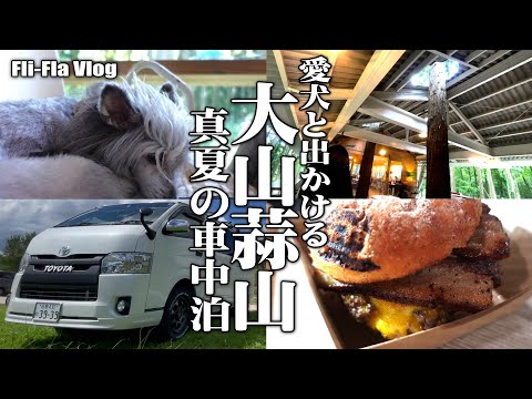 【真夏の大山車中泊】蒜山大山をぐるり一周、猛暑の中でも涼を感じられた一日ドライブ