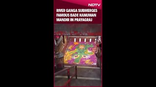 Uttar Pradesh News | On Camera: River Ganga Submerges Famous Bade Hanuman Mandir In Prayagraj