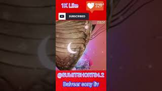 Part 5 #balveer #balveerreturns #shortfeed #trending #shortsseo #balveerreturns