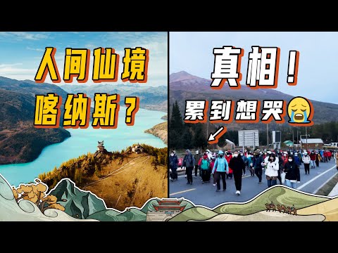 在人挤人的喀纳斯，这次我们真的emo了！