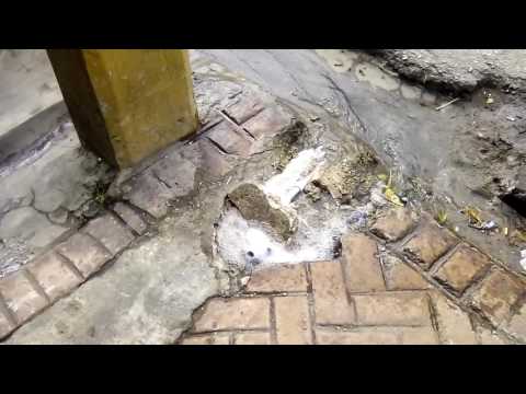 Water line break