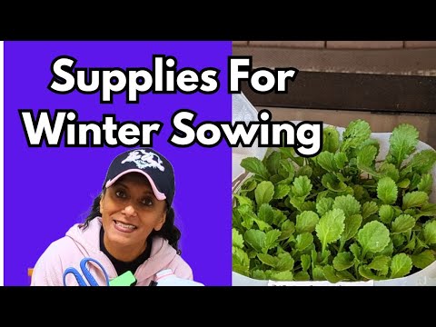 Cheapest Way To Start Seeds | Winter Sowing Supplies Needed || Budget Gardening