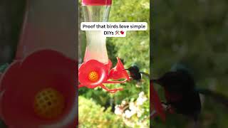 Charming Backyard Decor Ideas to Attract Birds #short #shorts #shortvideo