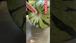 How to choose a watermelon? Here's a quick guide to choosing a watermelon。  如何挑選西瓜購買？一招教你快速挑選又脆又甜的西瓜