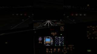 Landing night, rainy day #b737 #cockpitviews