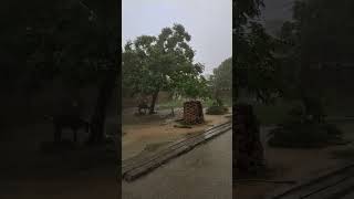 mohit Yadav