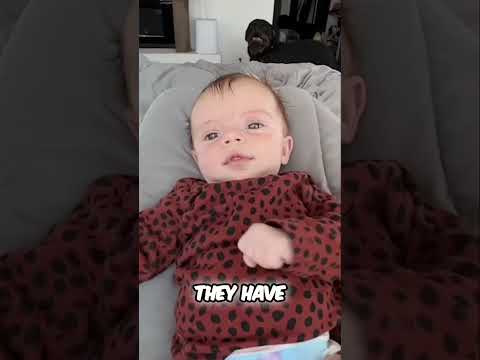Dogs and Babies Are Sharing AMAZING Moments Together Naturally