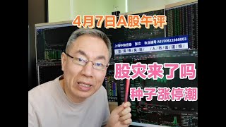 A股跳水股灾来了吗？关税狼来了要割肉吗？粮食种子涨停潮咋应对