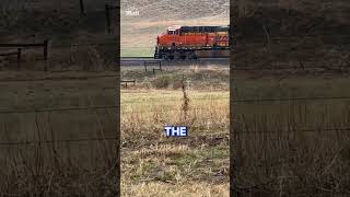 Devastating tornado derails train in Nebraska