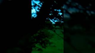 Belfast to the giants causeway bus trip,  driver sing song