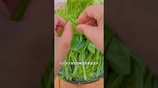家常菜-炒龍鬚菜 龍鬚菜
