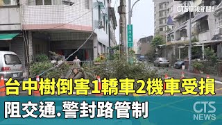 台中樹倒害1轎車2機車受損　阻交通.警封路管制｜華視新聞 20250725 @CtsTw