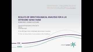 WREN Webinar #2: Attraction and Interaction of Marine Mammals and Seabirds to Offshore Wind Farms