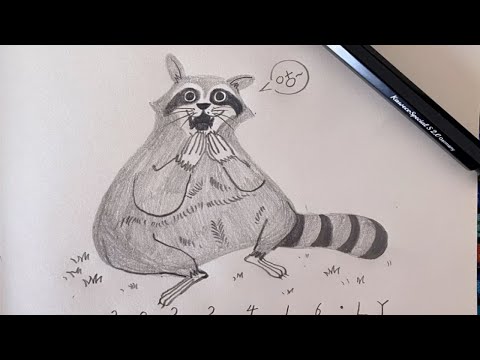 14速写｜铅笔手绘｜偷吃东西的小浣熊