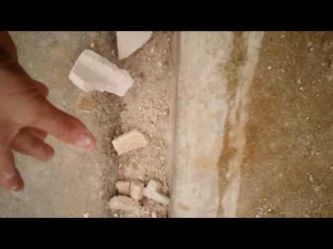 Dominican block test fail