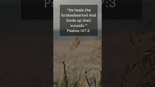 #worshipmusic #worship #jesus #worship_song #worshipsongs #bible #god #worshipservice #faith #music