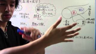 【中２　理科】　　２－②⑦　血液の成分