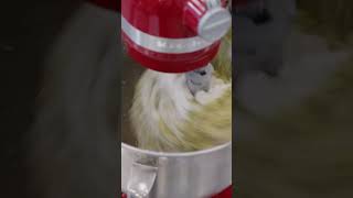 Pre-processing Techniques #dryingmachine #foodscience
