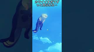 カワイイすぎてずっと見られる～【原神】