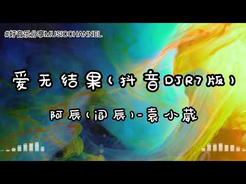 阿辰(阎辰)-袁小葳 - 爱无结果 (抖音DJR7版)【動態歌詞 Lyrics】