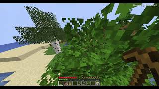 Minecraft java demo